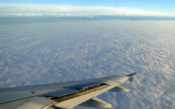 tr02.JPG