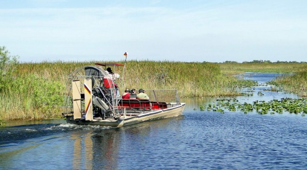 tr29.jpg
