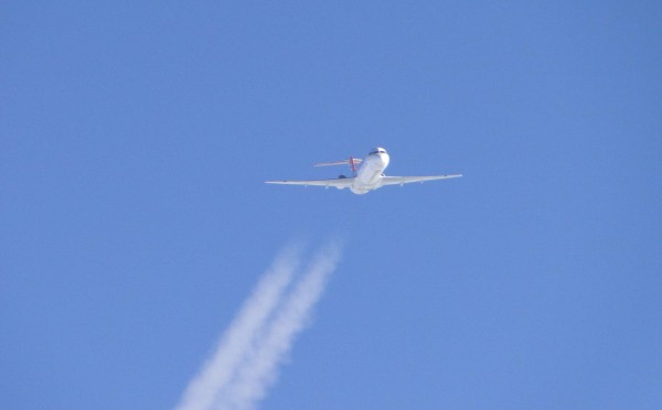 TR86.jpg