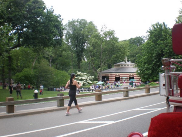Central Park, foceno z kočáru