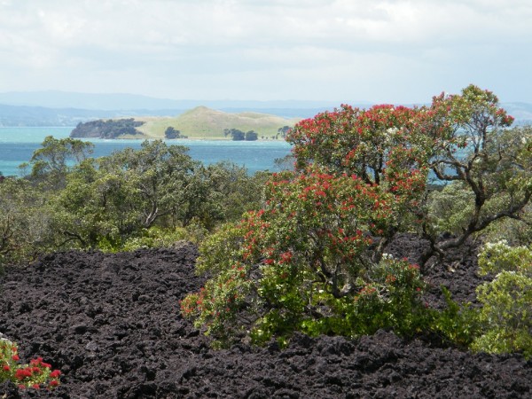 Rangitoto Island