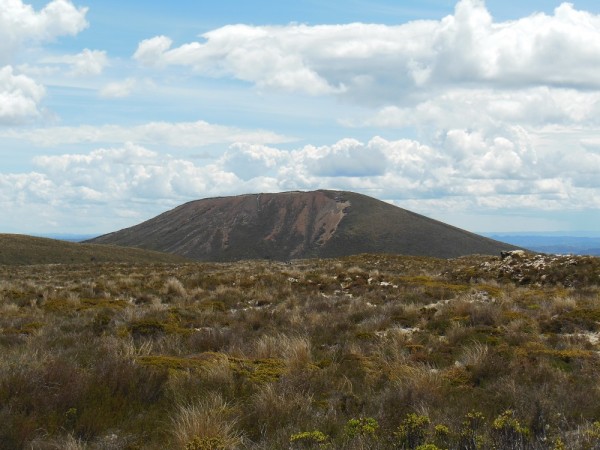 NP Tongariro
