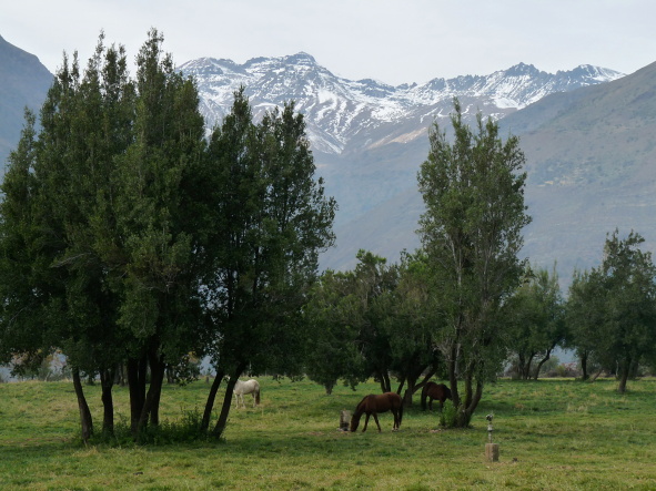 Podzim v Cajón del Maipo - drobný půldenní trek.