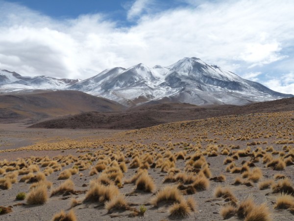 Uyuni tour