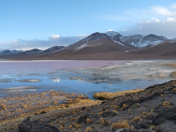 Uyuni tour - Laguna Colorada