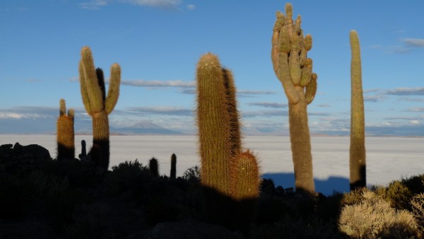 Salar de Uyuni
