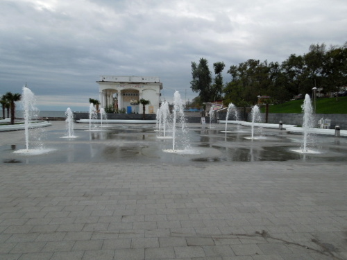 d8 fon.JPG