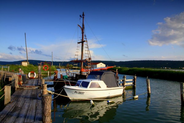 Piran, Trieste, Venezia 292.jpg