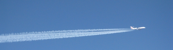 Speedbird