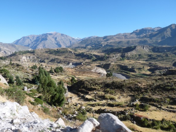 Colca Canyon