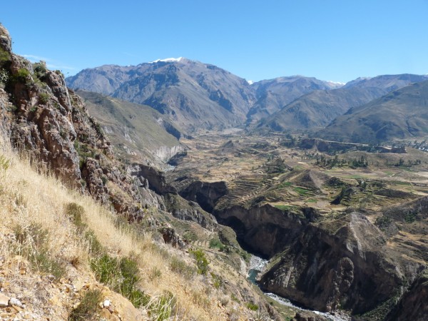 Colca Canyon
