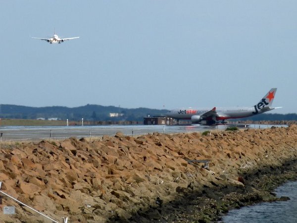 P1030738.JPG
