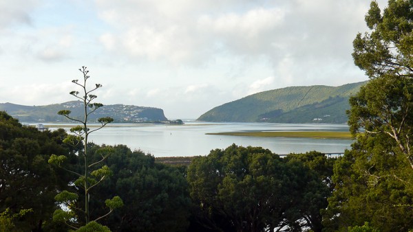P1220437.jpg