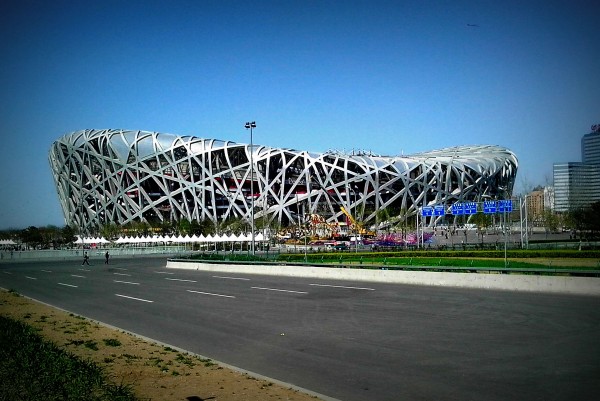 Birds Nest