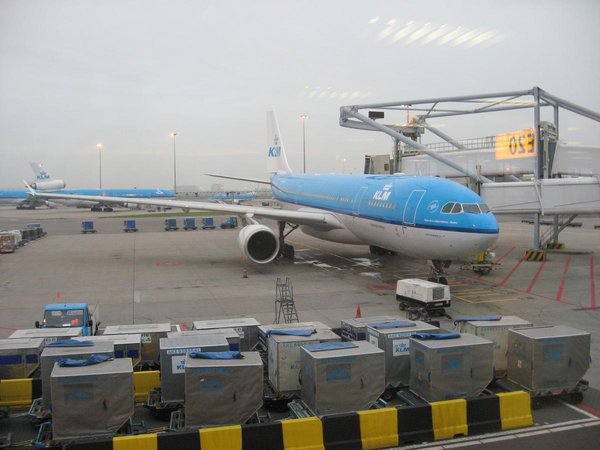 A330AMS100_2334.JPG