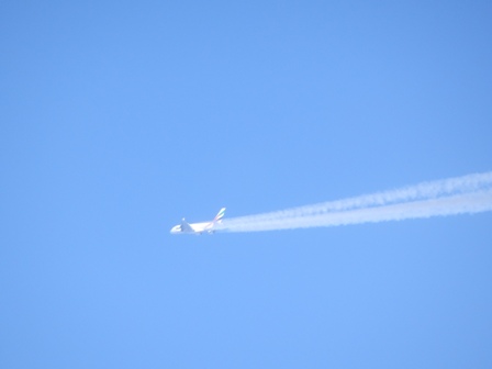 P3110002.jpg