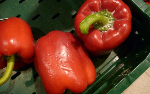 Paprika Albert.jpg