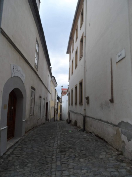 Kozi ulice