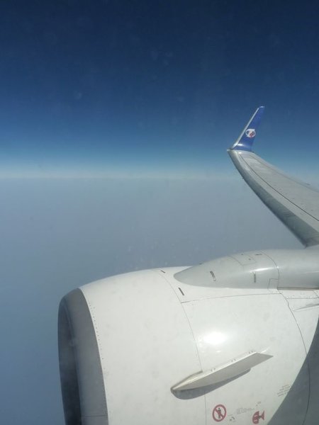 P1000656.JPG