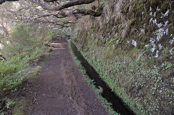 DSC_3045.jpg