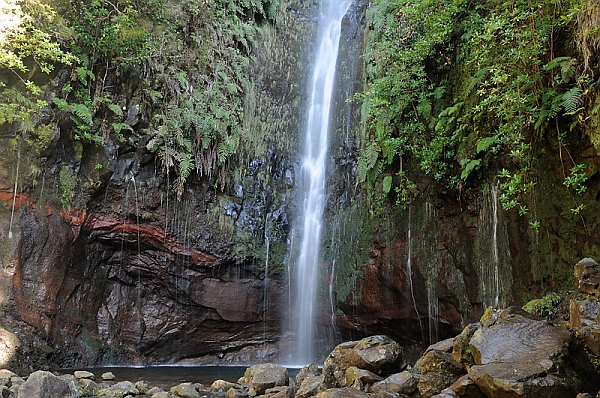 DSC_3085.jpg