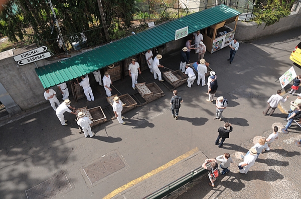 DSC_3699.jpg