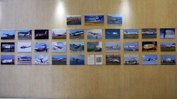 P1270949.jpg