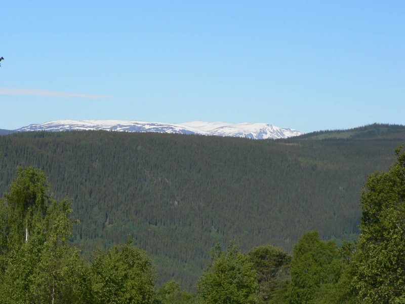 Cestou do Fagernes