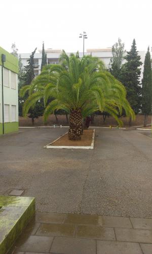 Dokonce i chvilku pršelo