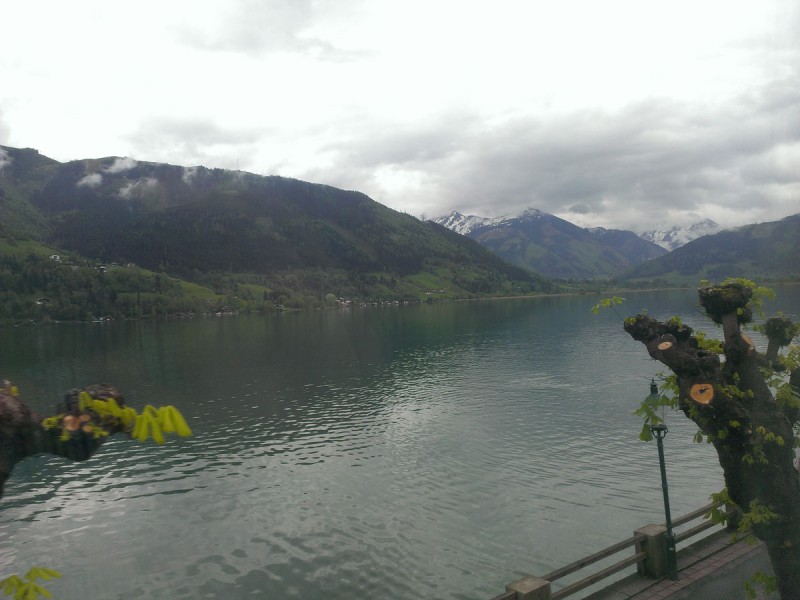 IMAG7645.jpg