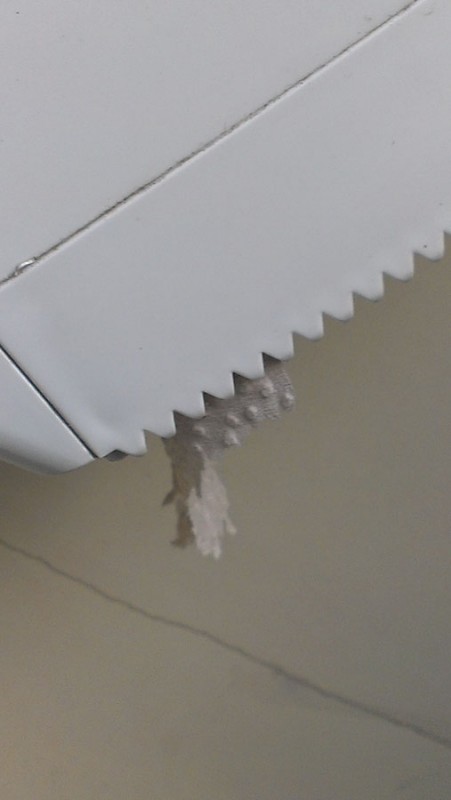 IMAG6447.jpg