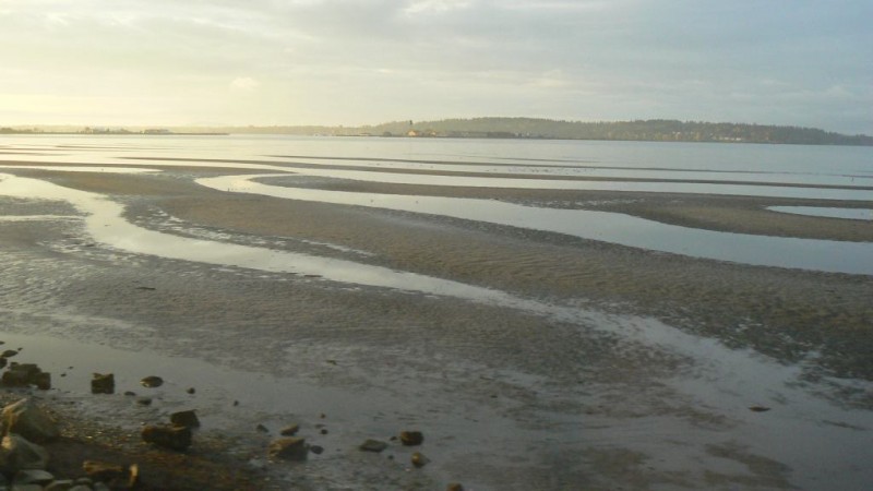 Ráno nad Puget Sound