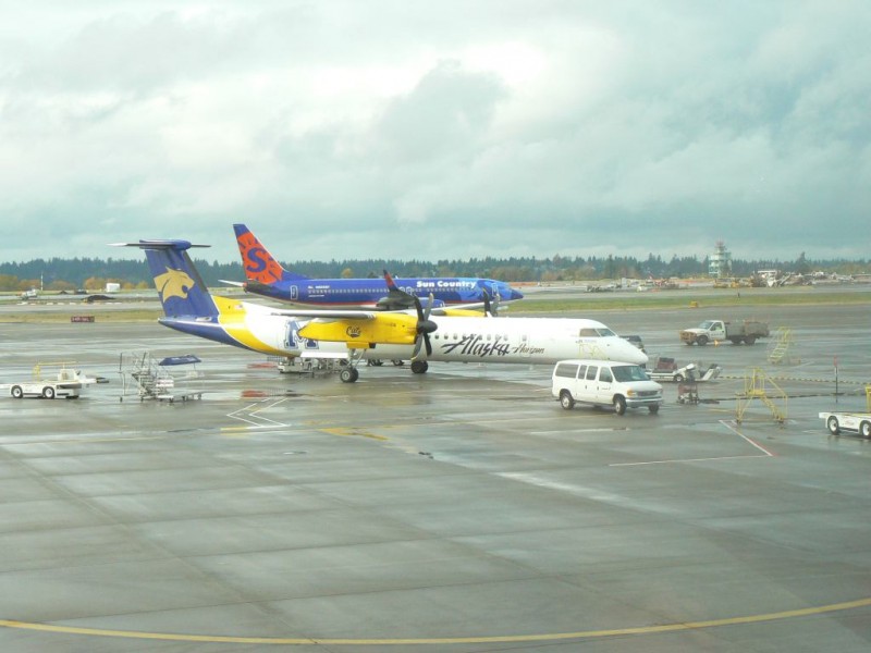 Aljašská Dáša v jednom z mnoha logojet livery