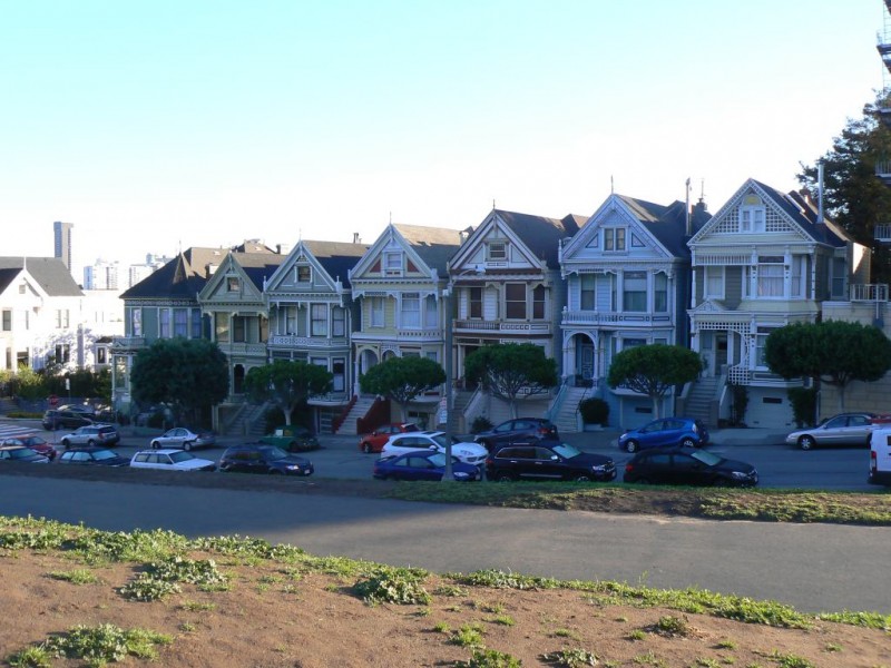 Painted Ladies