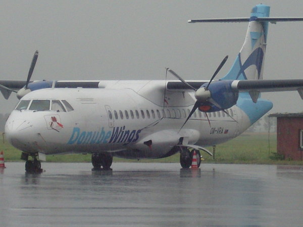 SNC19722.JPG