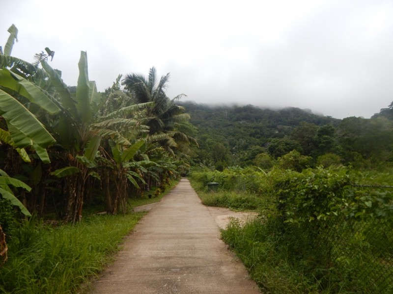 DSCN1734.JPG