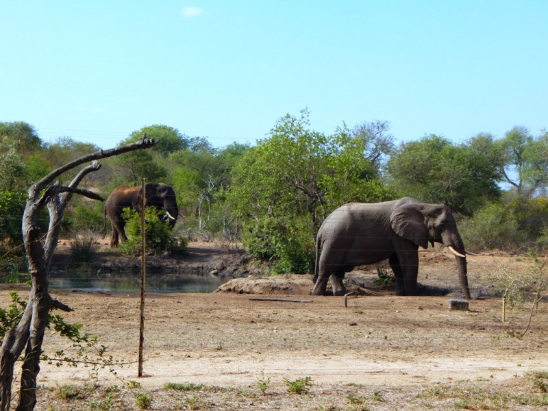 DSCN2620.JPG