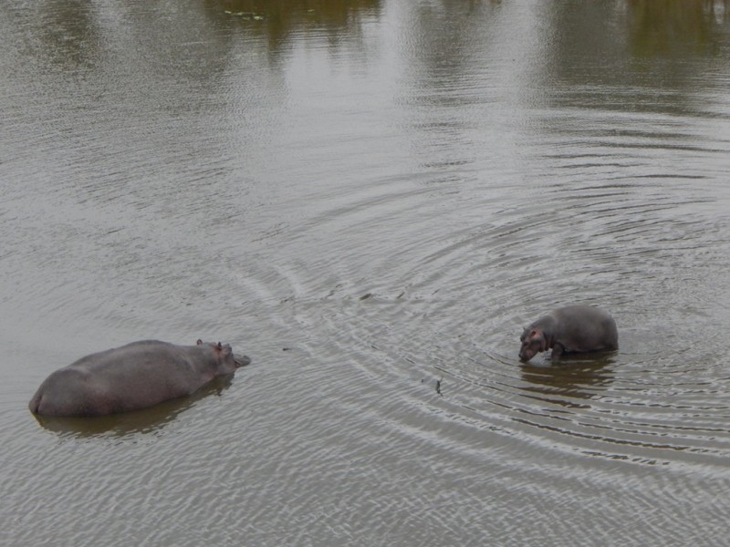 DSCN3629.JPG