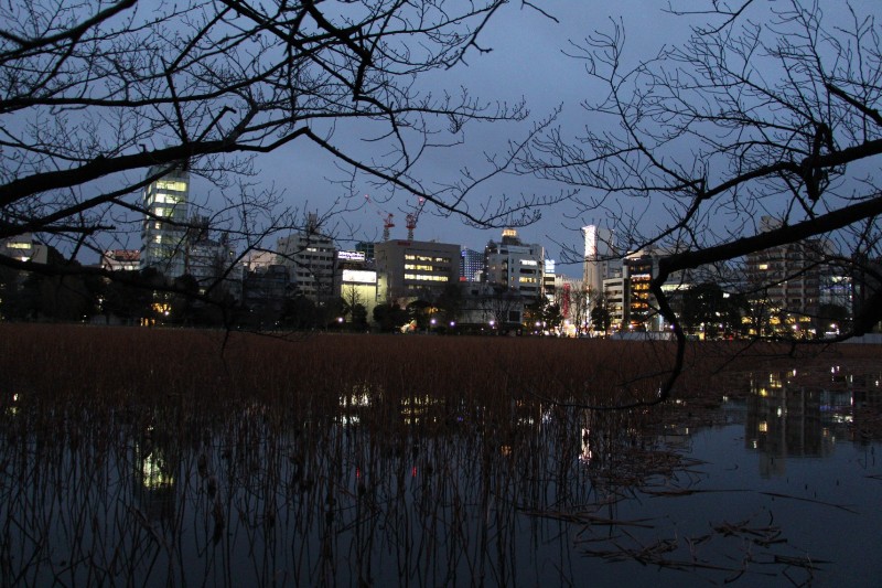 Ueno Park