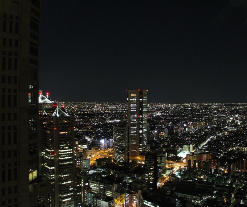 Výhled z Tokio Metropolitan Building.