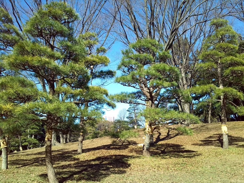IMG_20160120_120217.JPG