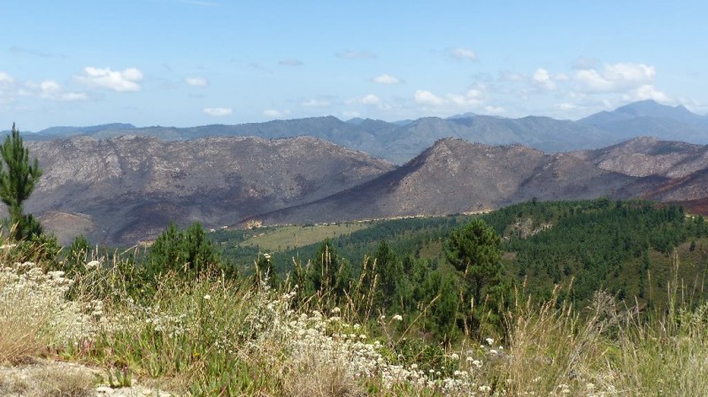 P1010170.jpg