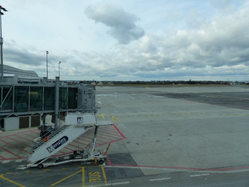 P1030235.jpg