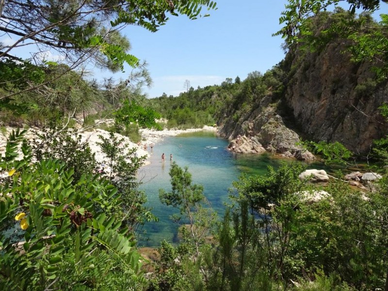 c010.jpg
