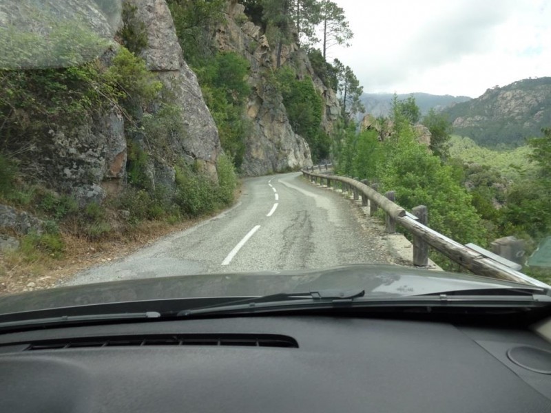 c011.jpg