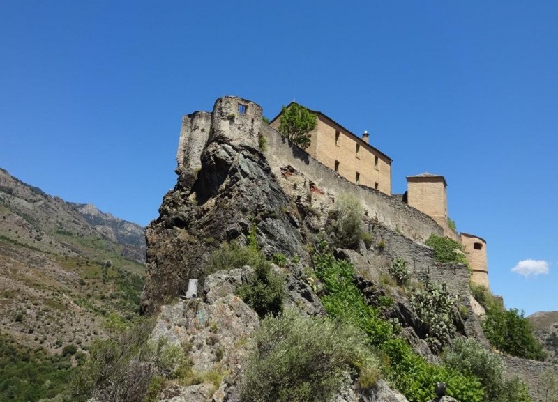 c014.jpg