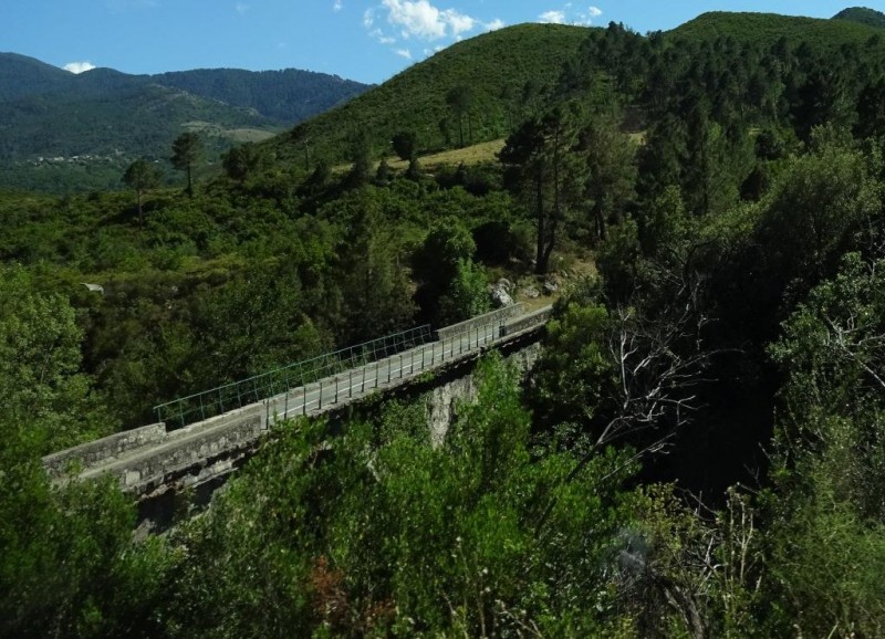 c017.jpg