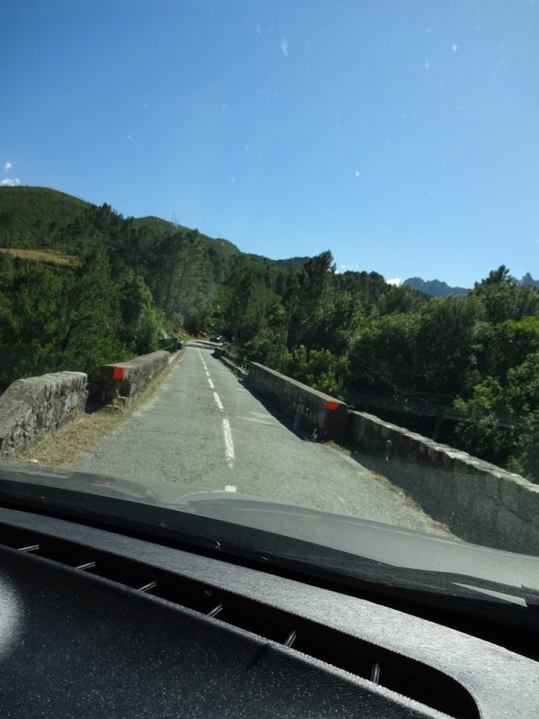 c018.jpg