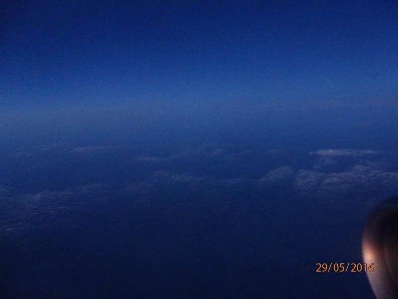 P5290033.JPG