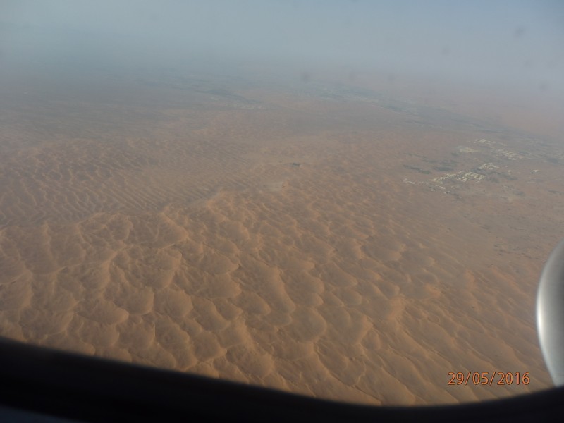 P5290050.JPG